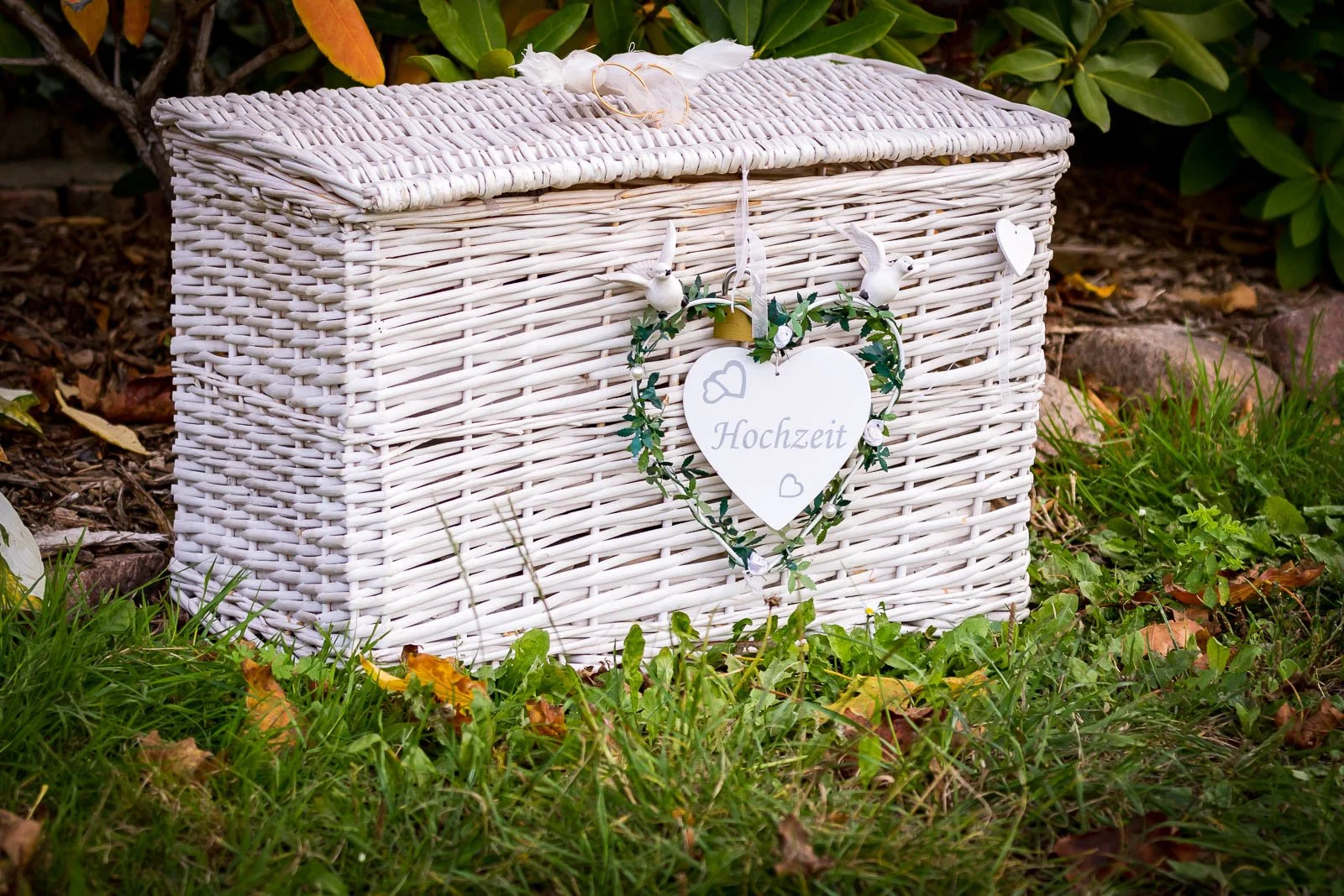 Bei uns gibt es keine Überraschungen – nur Fotografie mit Klarheit, Herz und echter Verlässlichkeit.