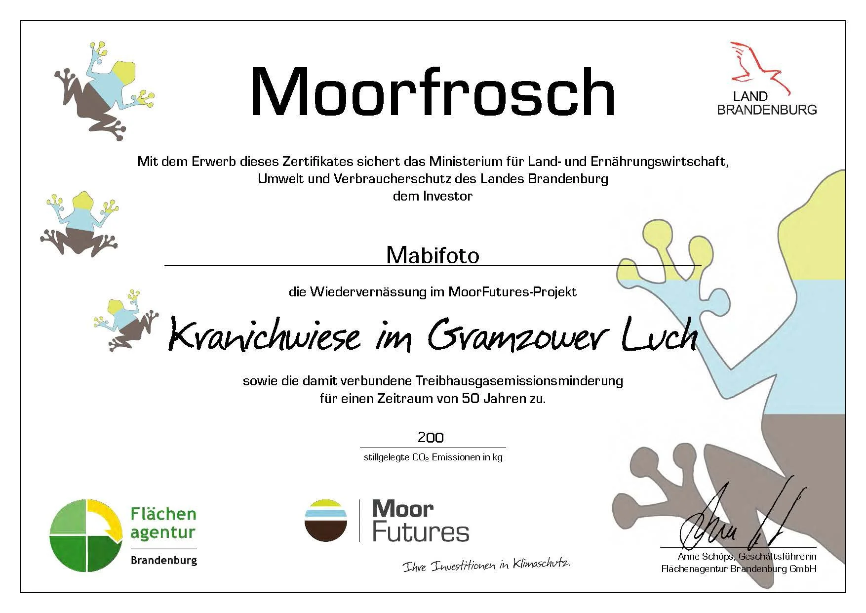 Nachhaltige Hochzeitsfotografie in Berlin &amp; Brandenburg – Erinnerungen mit gutem Gefühl