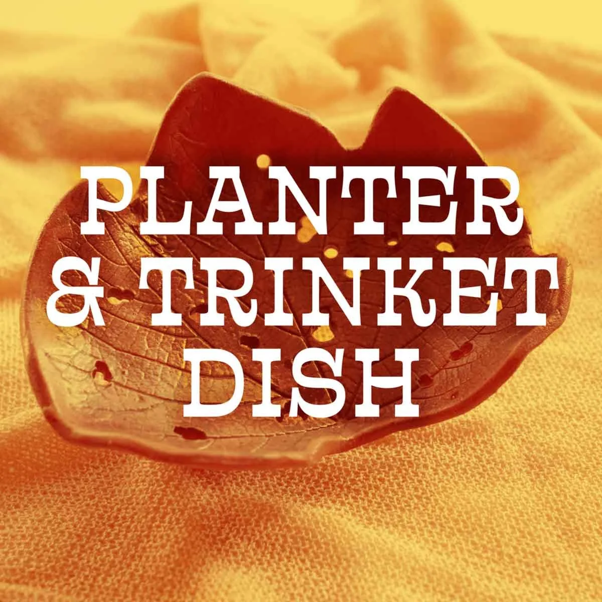 Planter & Trinket Dish Workshop