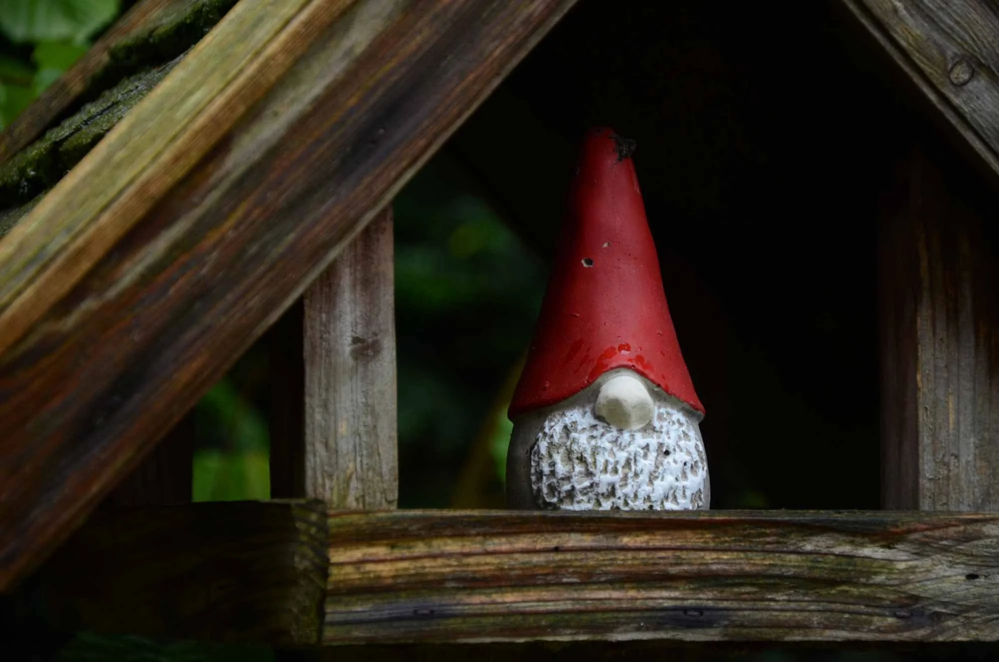 garden-gnome-resting-inside-wooden-birdhouse.jpg