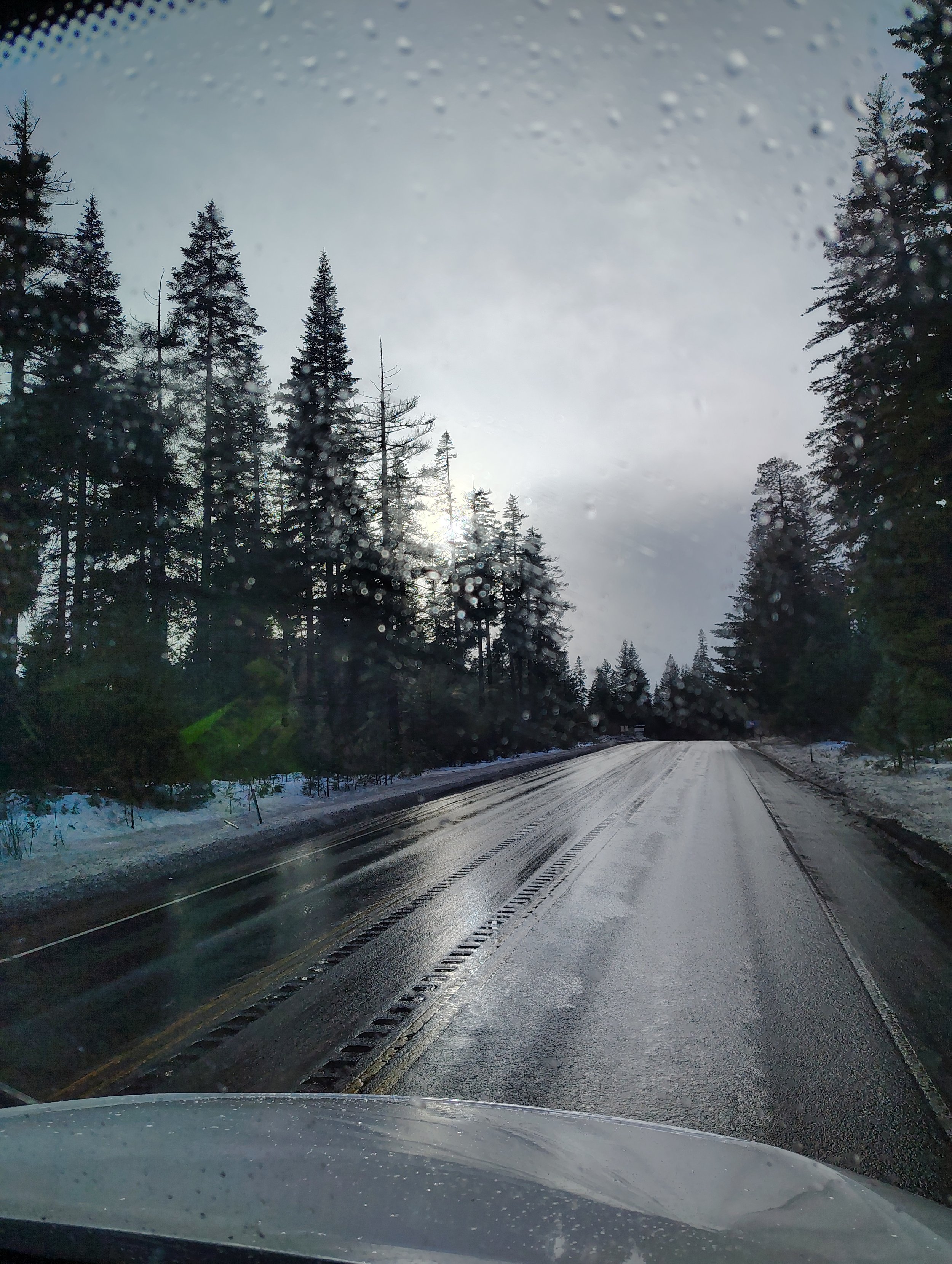 A snow-covered road through a forest of tall evergreen trees on a cloudy day, viewed from inside a vehicle.