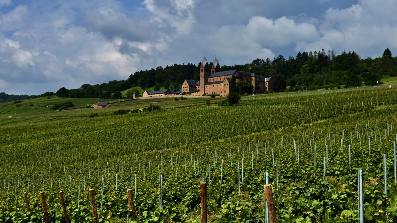 OMH_Rheingau - 1.jpeg