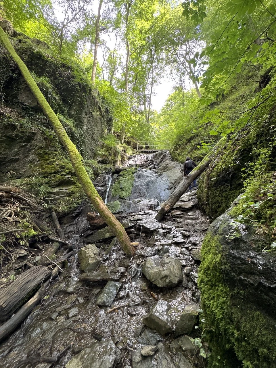 OMH_Ruppertsklamm - 1.jpeg