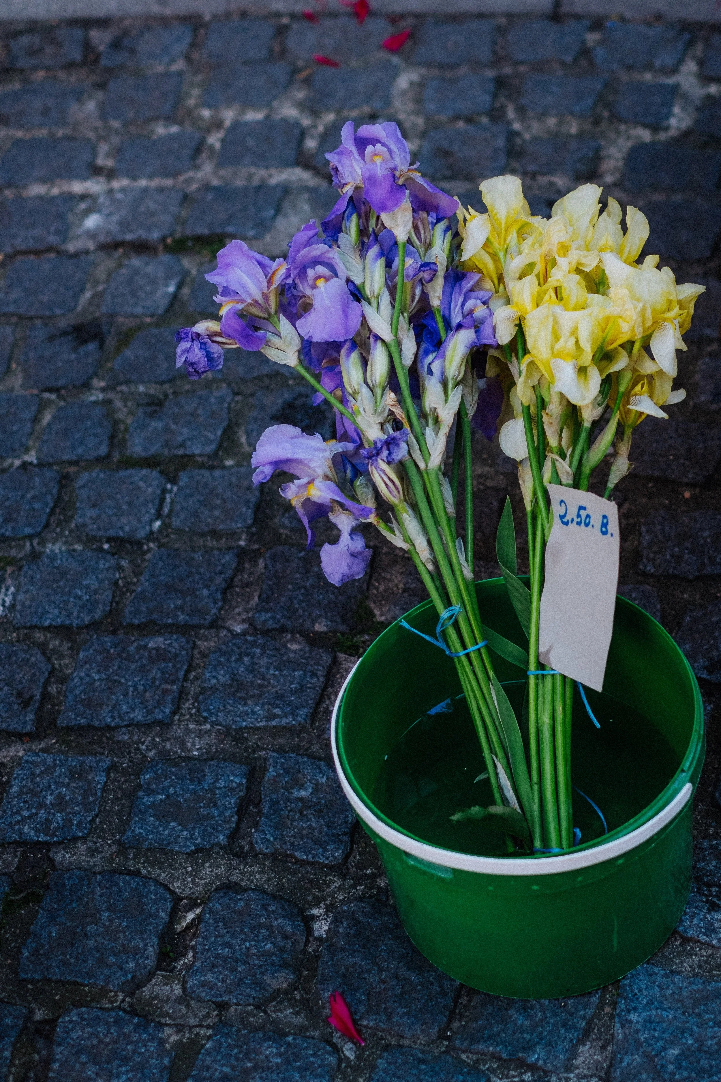 DSCF5860.jpg