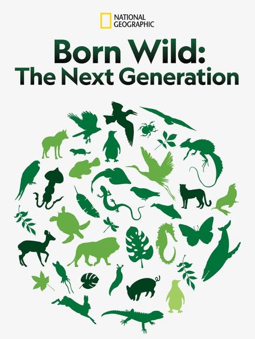 Born Wild: The Next Generation [c]Film[/c]