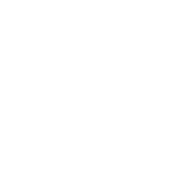 white icon showing a technical document