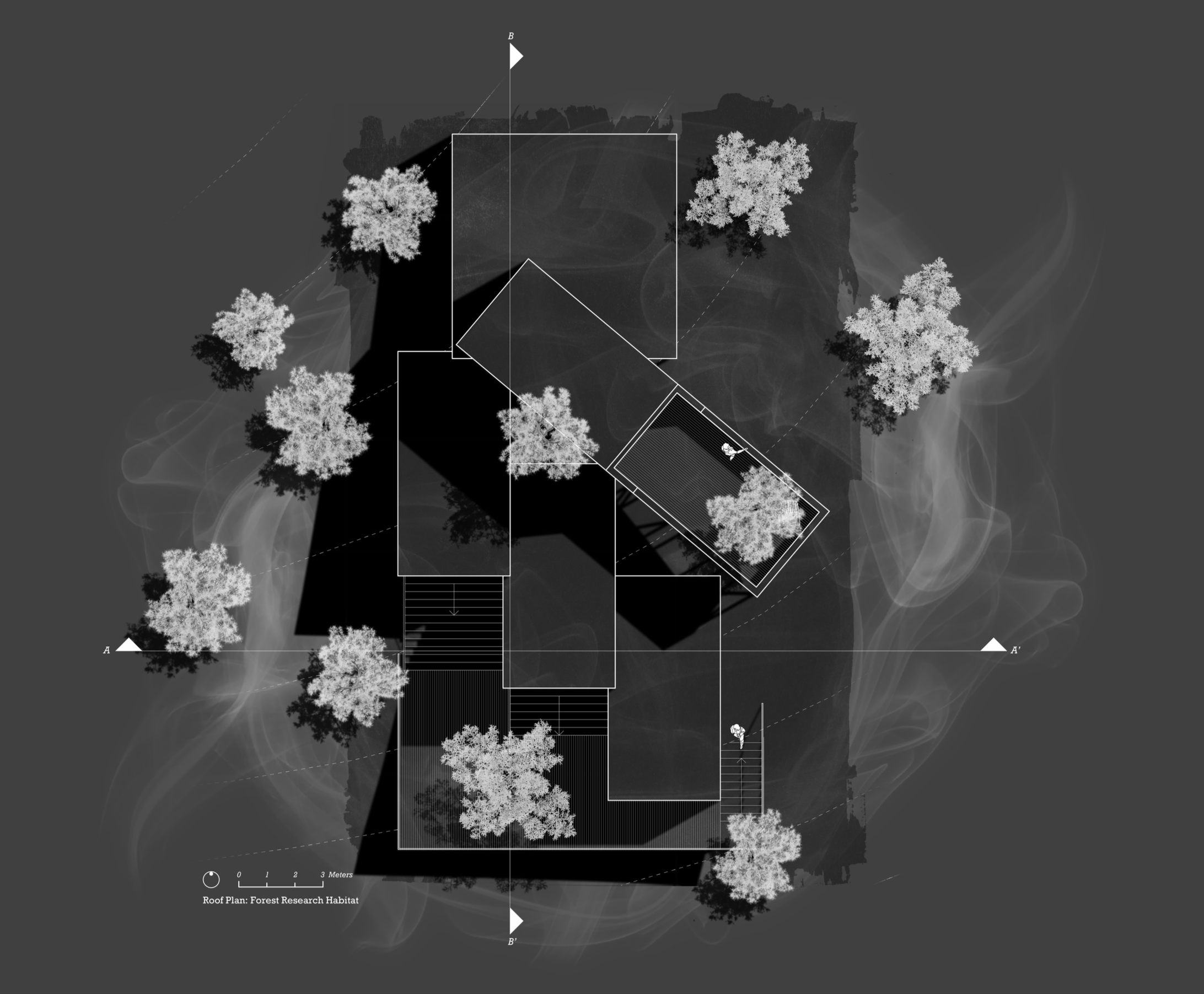 Roof Plan: Forest Research Habitat