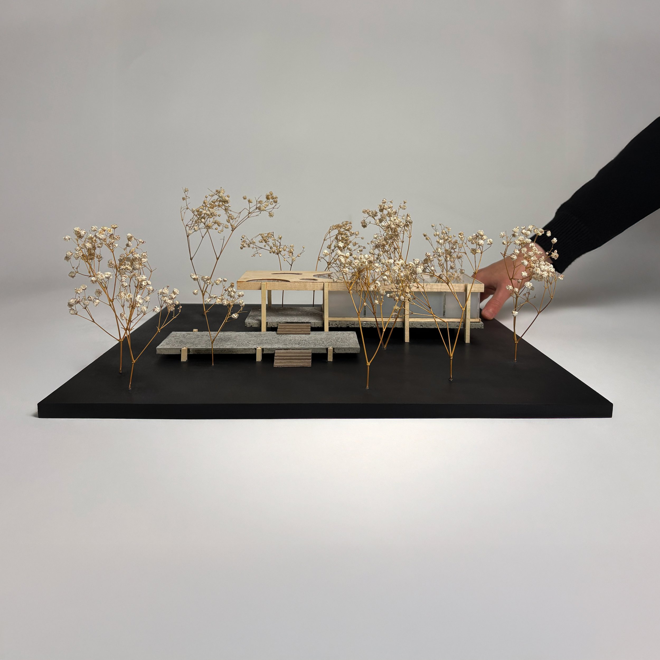 Model hand square.jpg