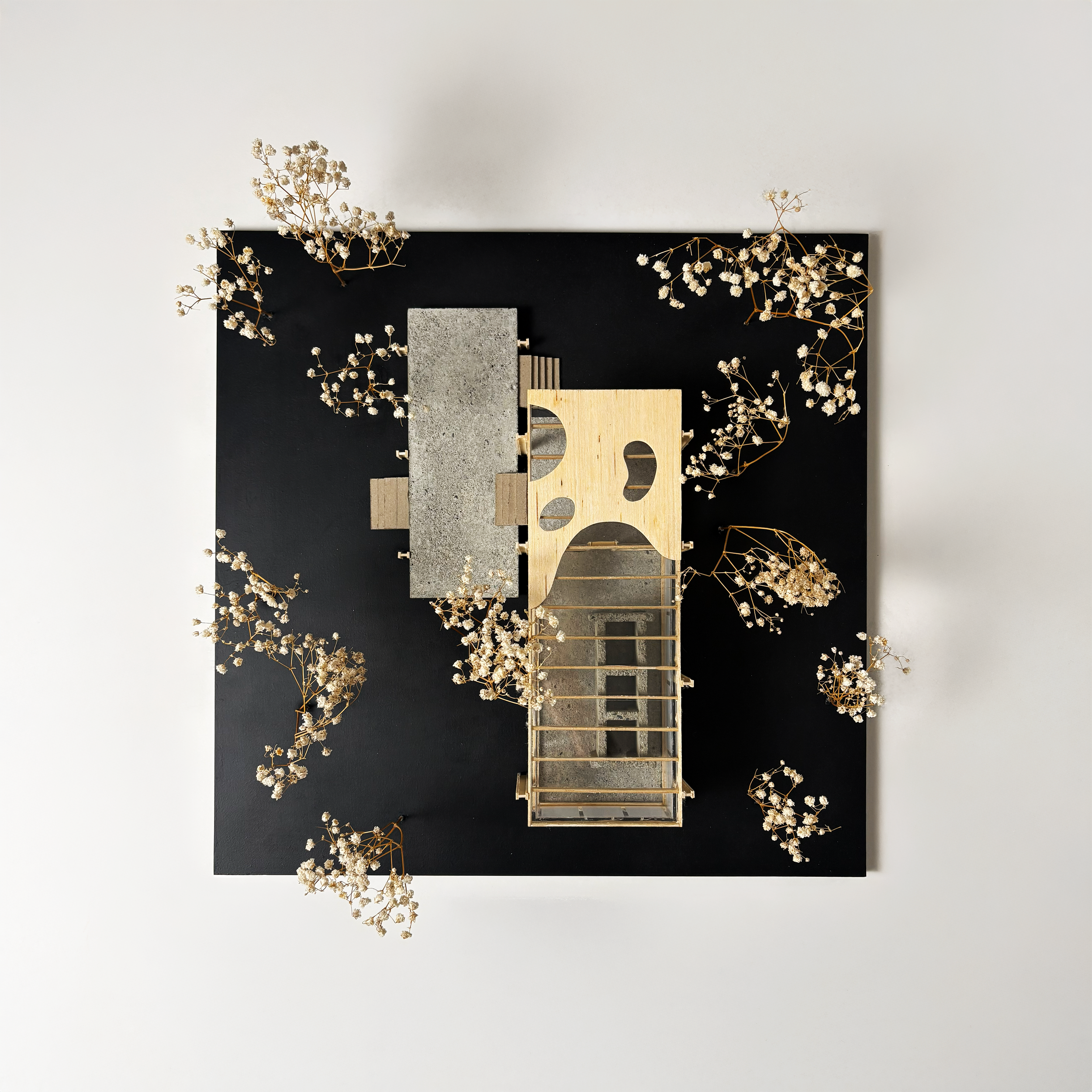 Model Plan compressed.png