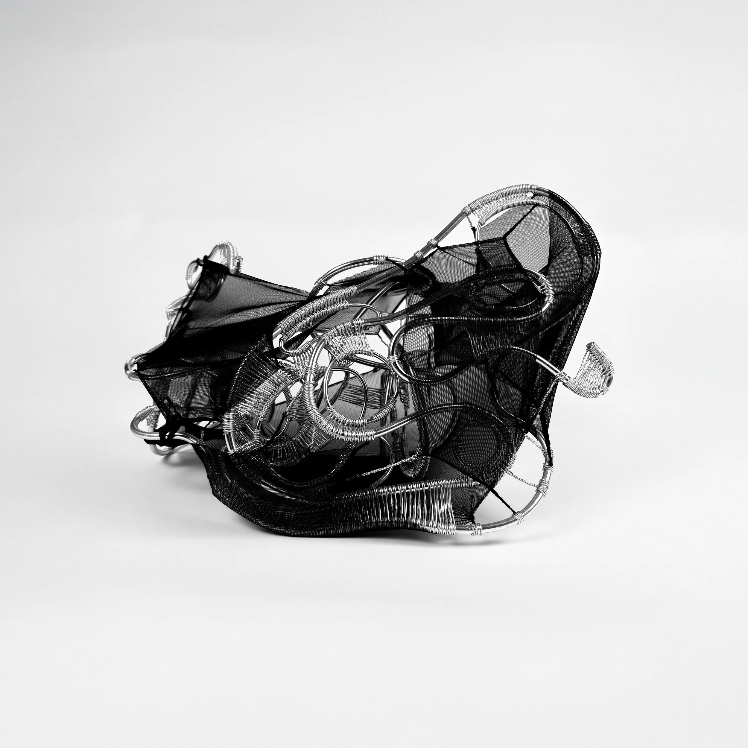 transform main image.jpg