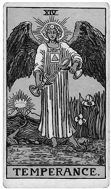 The Temperance tarot card featuring an angel with wings, holding a sword and a chalice, blending water between two cups. The angel stands between a mountain and a body of water, with sun rays behind and a small flower at her feet. Roman numeral XIV at the top.