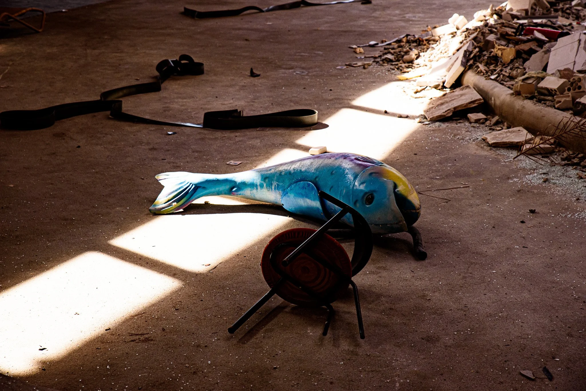 DSC_5522.jpg