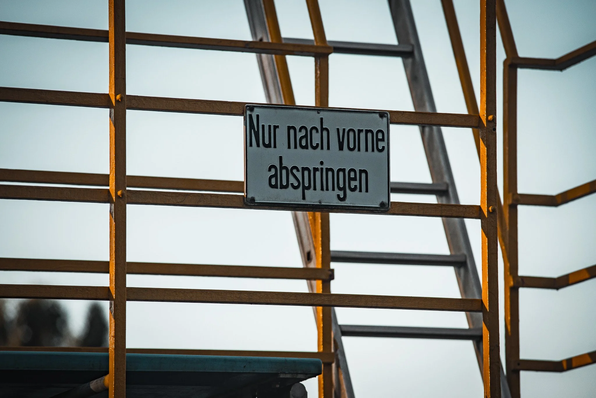 DSC_5145.jpg