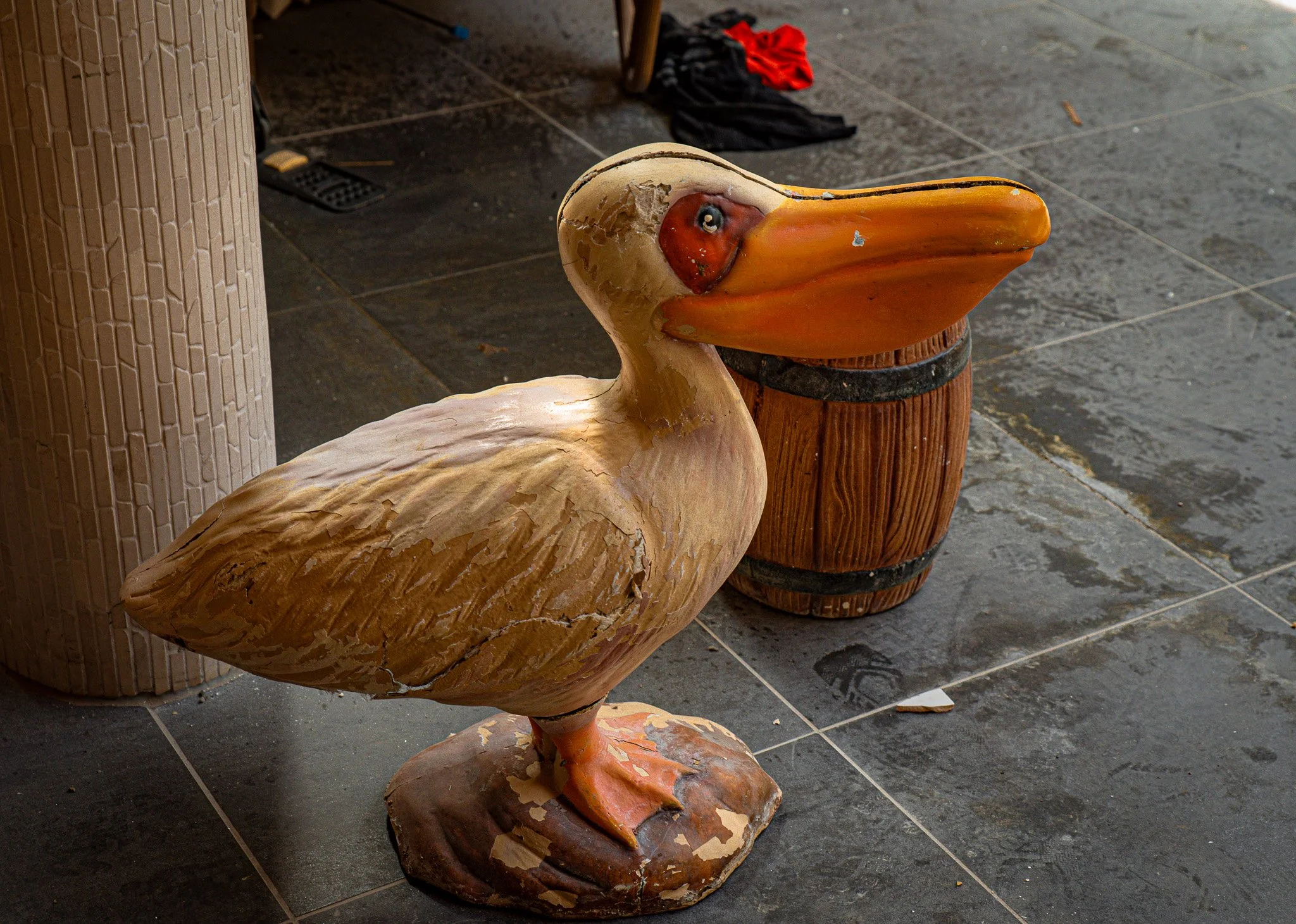 DSC_5521.jpg