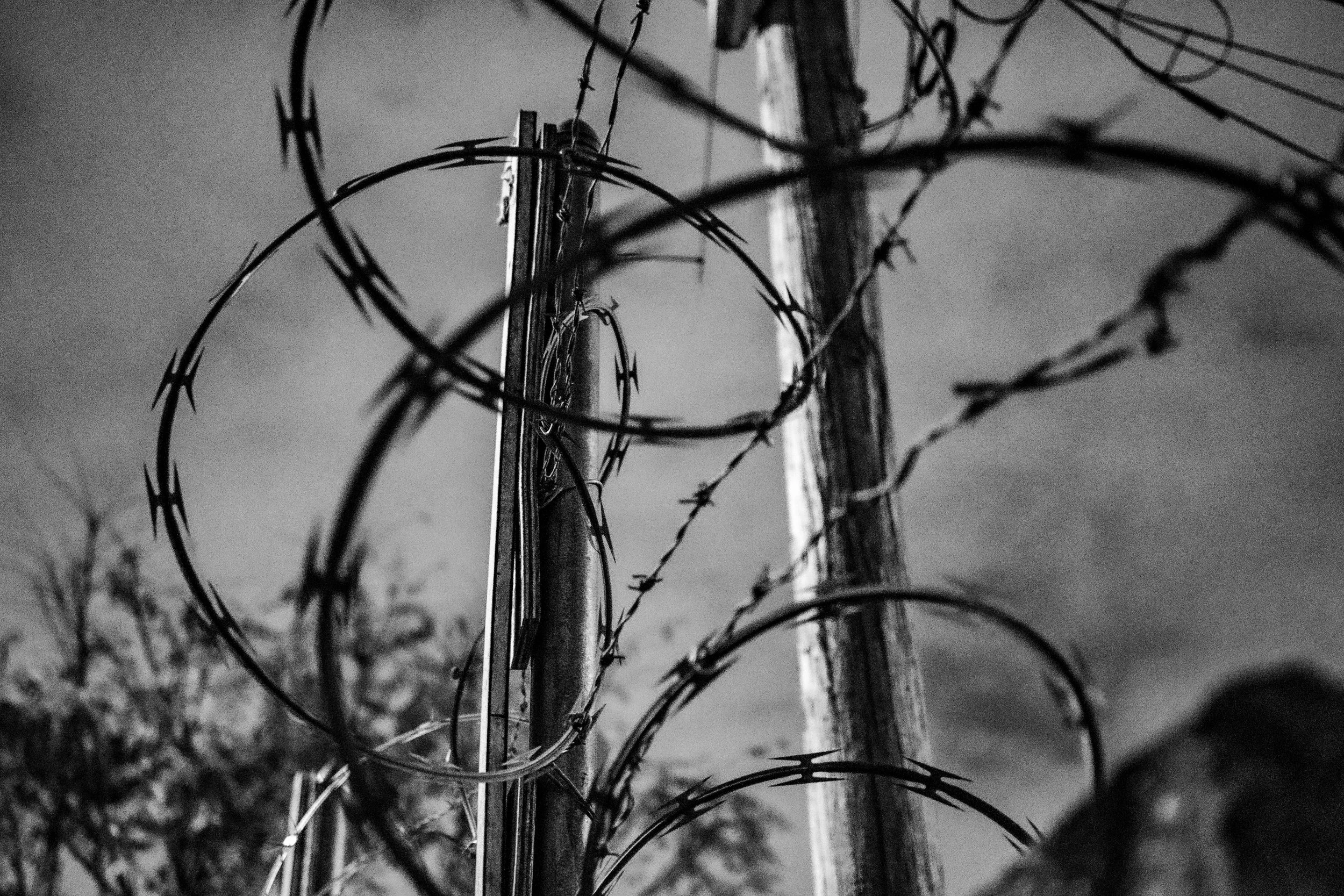 Black and white photo of a barbed wire fence with wooden posts, showing a close-up of the wire and spikes, with a cloudy sky in the background.