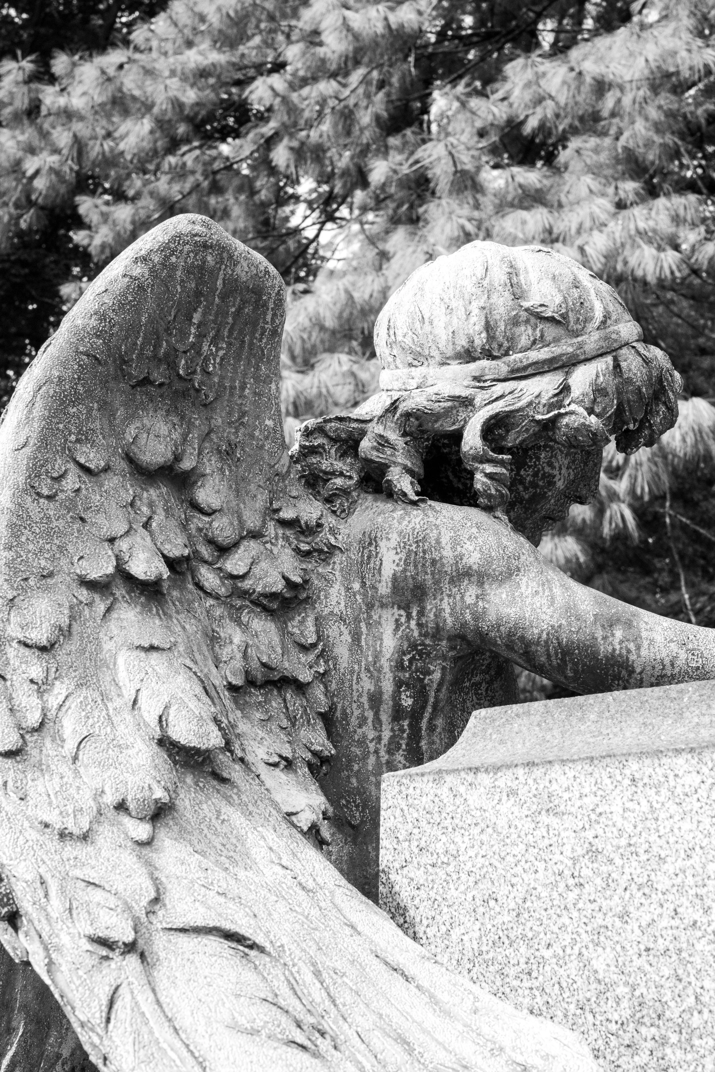 Close-up of a stone statue of a guardian lion or foo dog, showing detailed texture and carvings on the face and mane, with a background of trees.