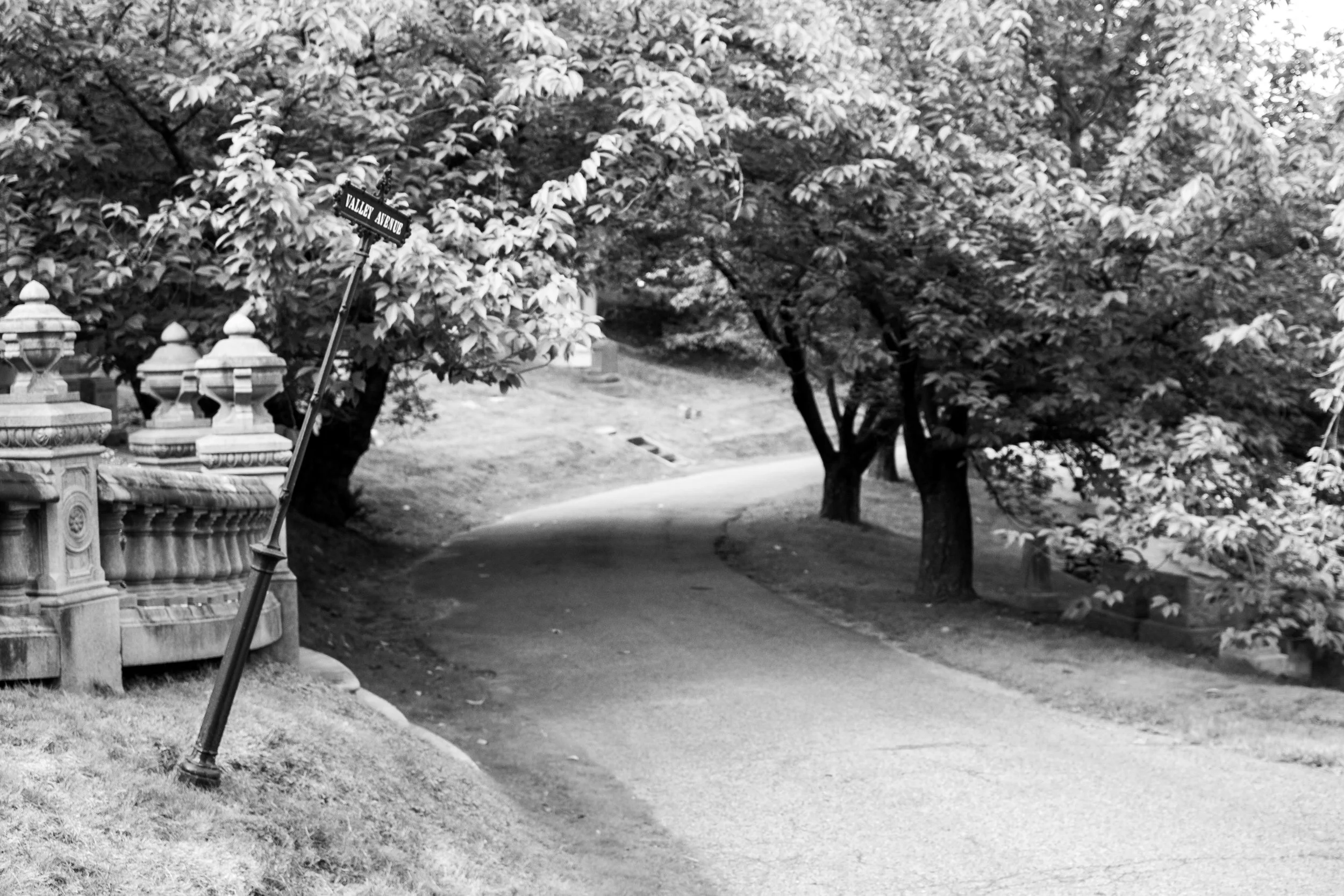A black and white photo of a park scene with a curved pathway, trees, and a decorative stone fence with iron posts. A street sign reading 'Valley Avenue' is leaning and partially obscured by foliage.