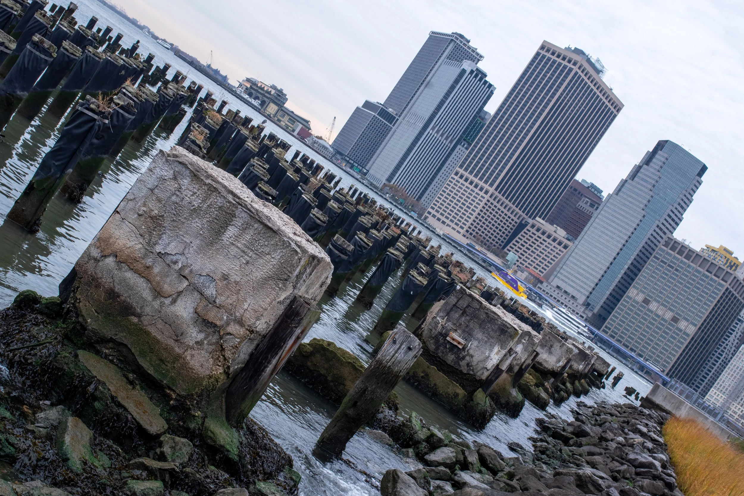 View of a waterfront with numerous wooden pilings sticking out of the water and some buildings and skyscrapers in the background.