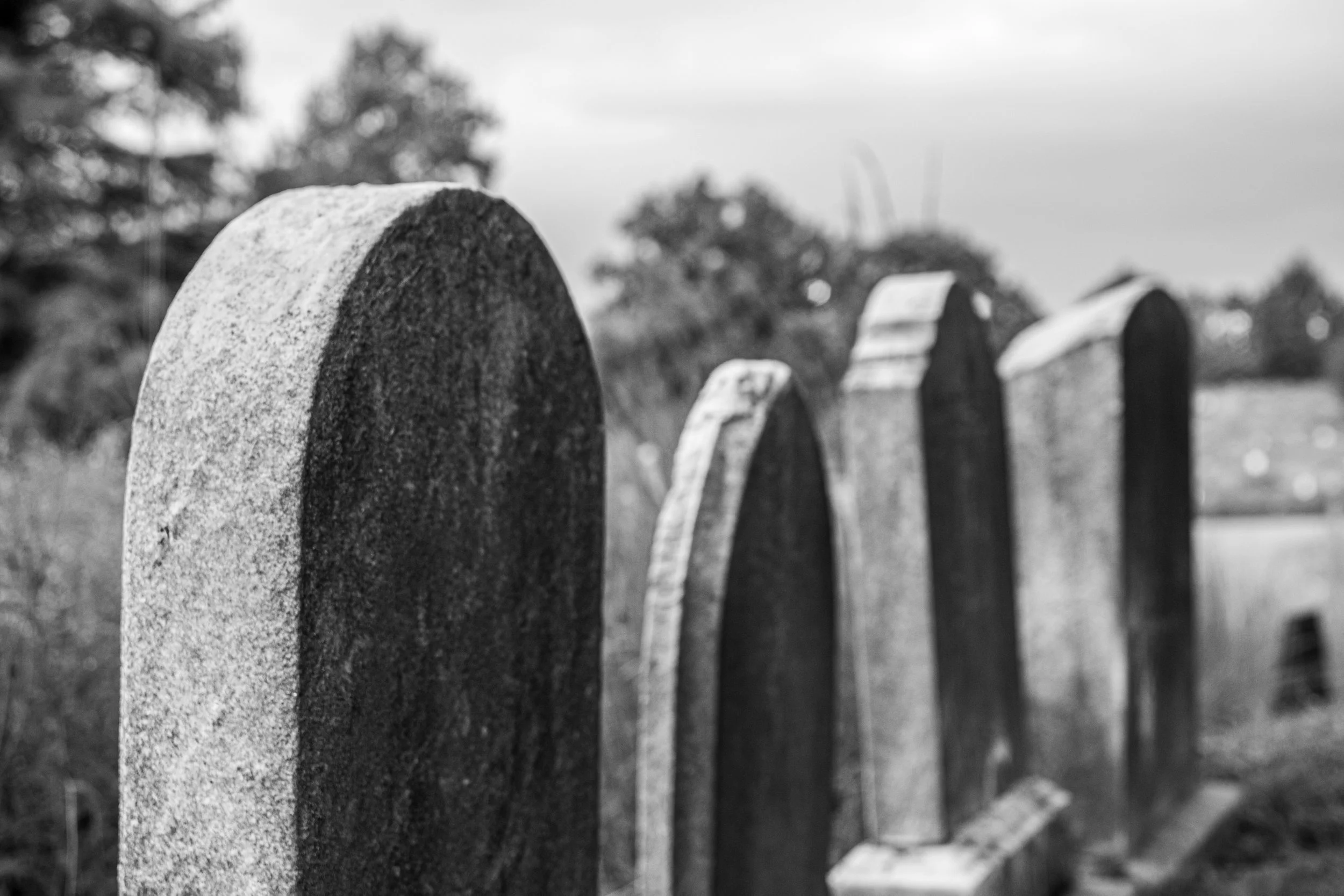 Black and white photo of several upright headstones in a cemetery, with trees in the background.
