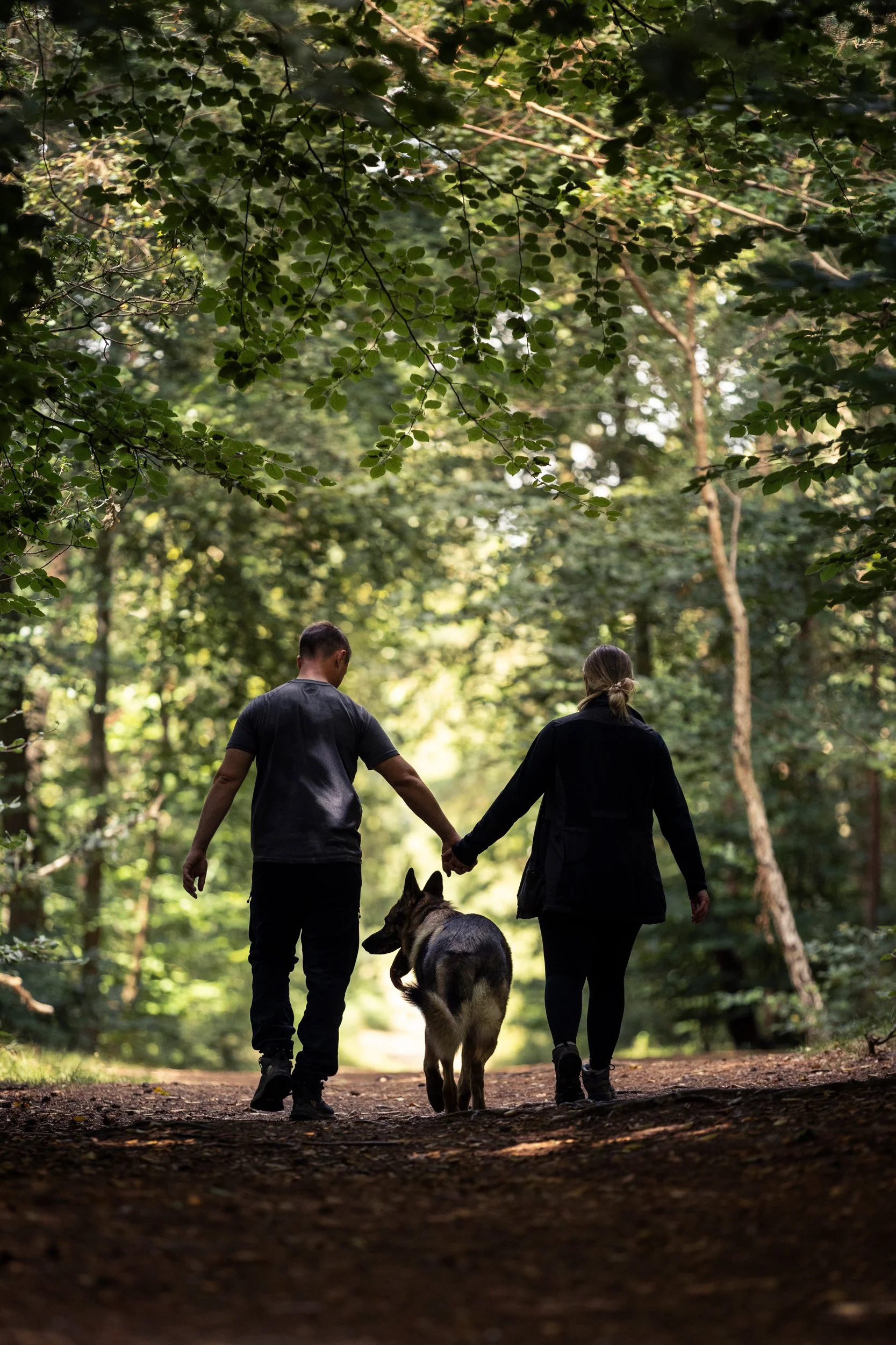 A man and woman hold hands while walking a dog through a forested trail.
