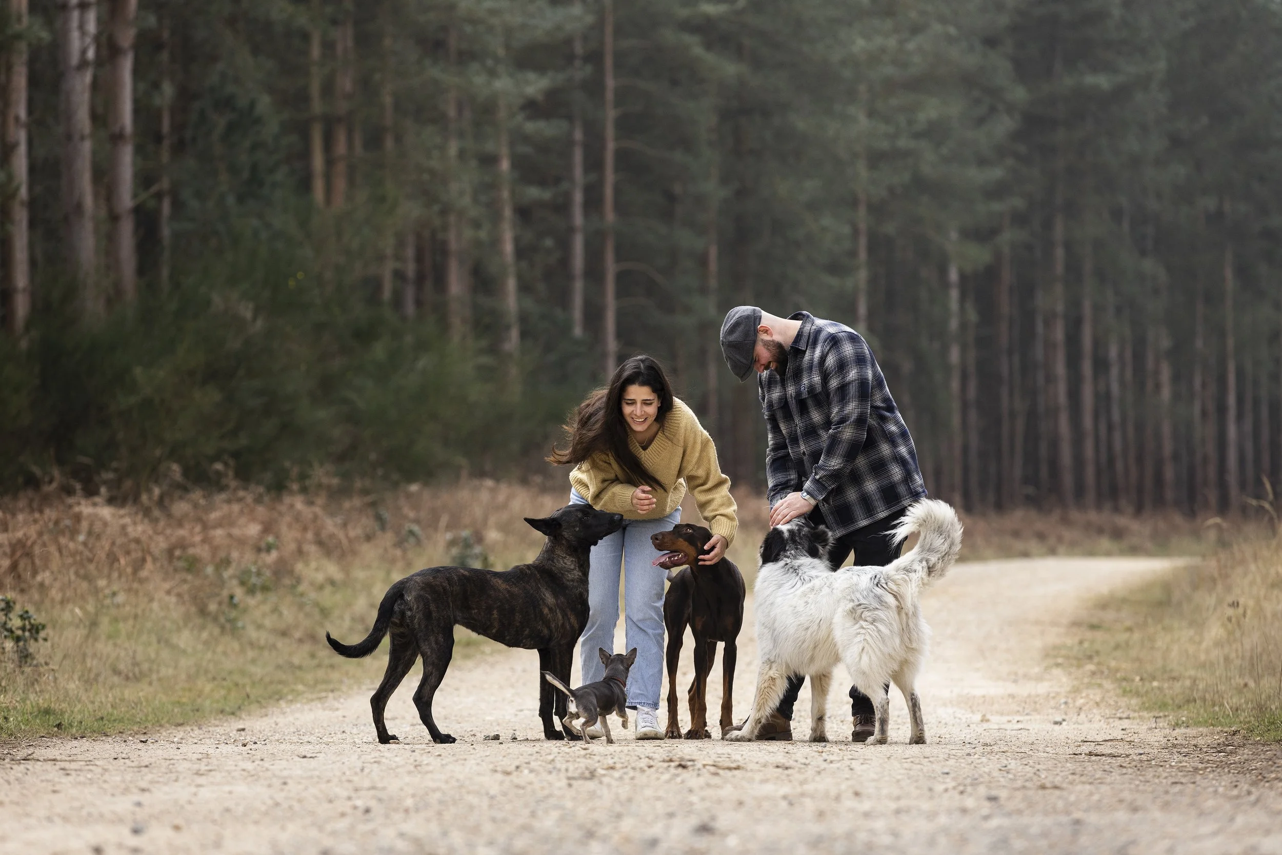 A smiling woman and man with four dogs on a dirt path in a forested area.