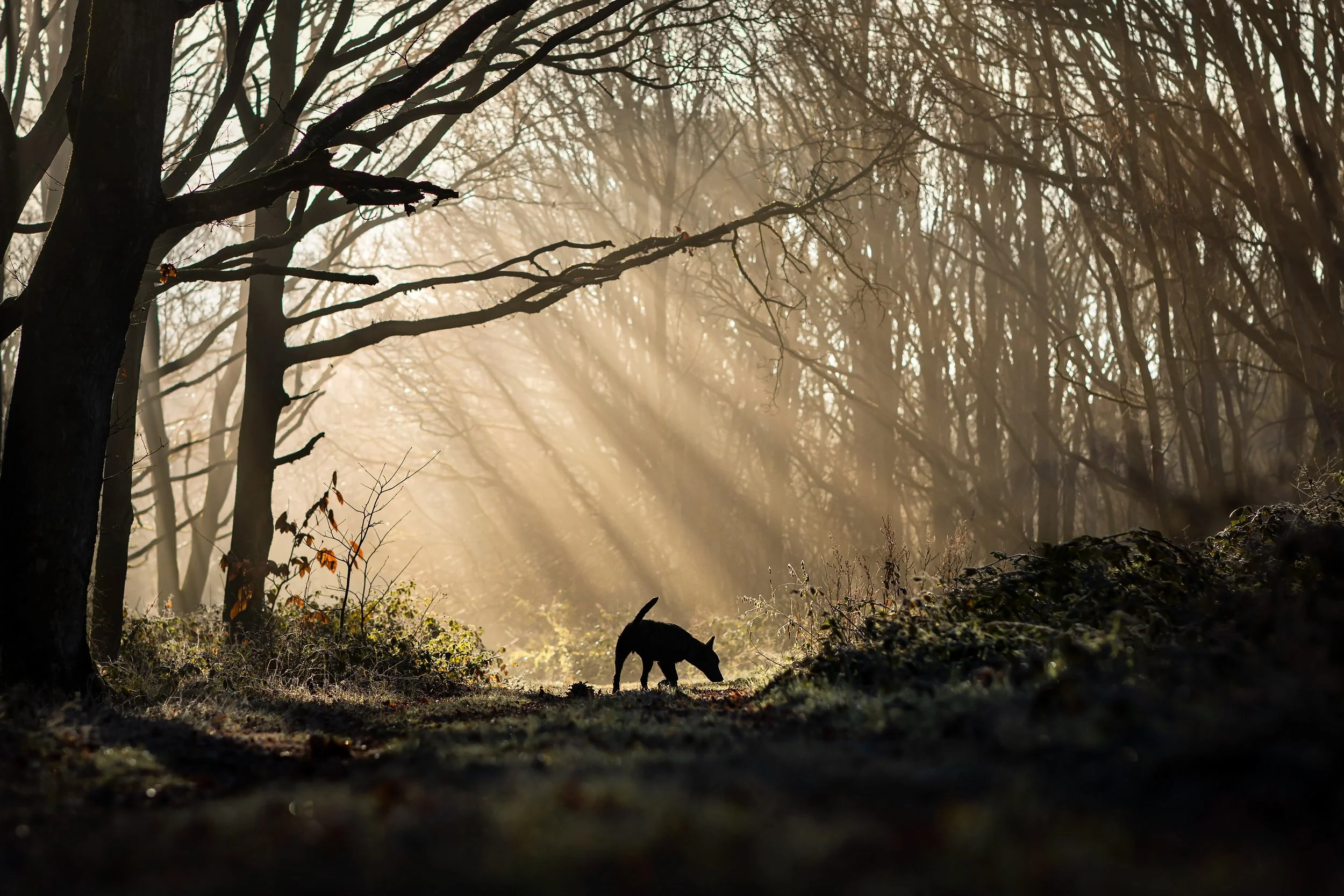 089A1407 copycrop web.jpg