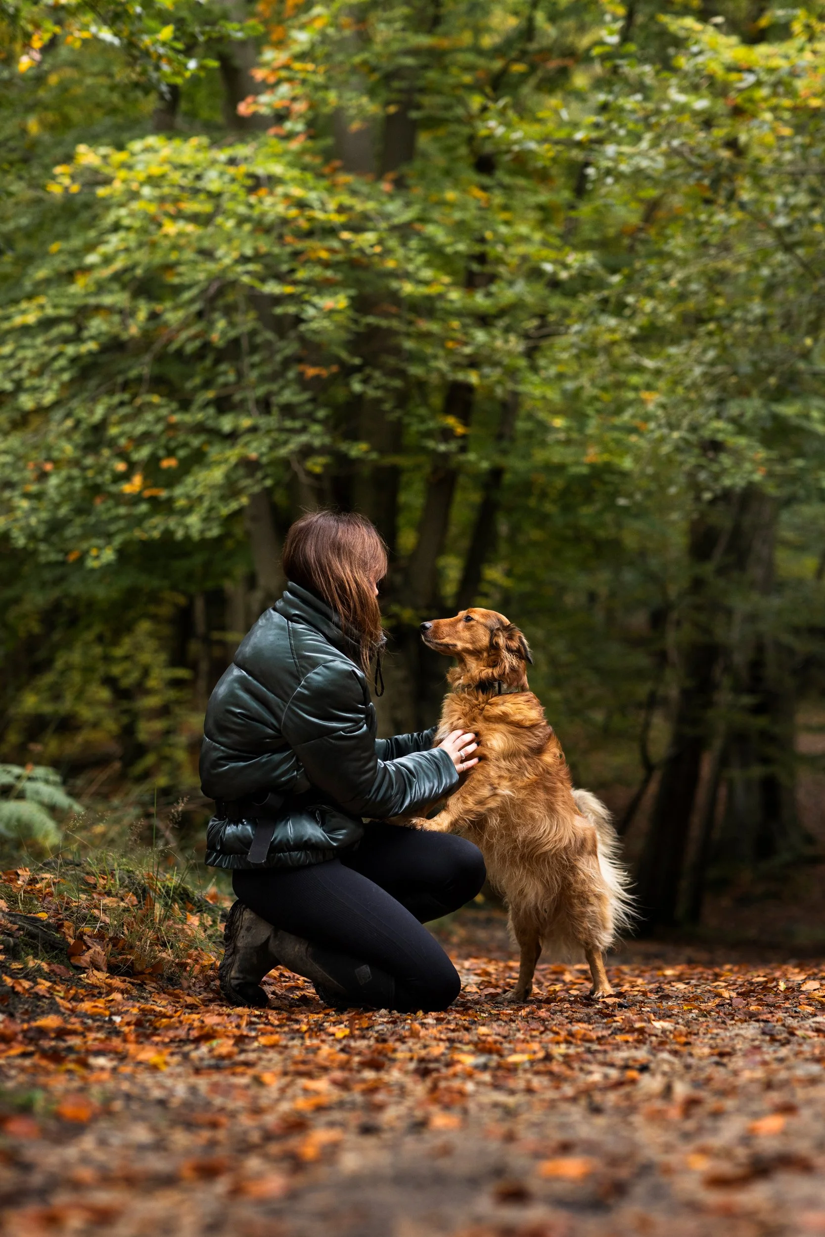 A woman kneeling in a forest with autumn leaves on the ground, holding a golden retriever dog and looking at it affectionately, surrounded by green trees.