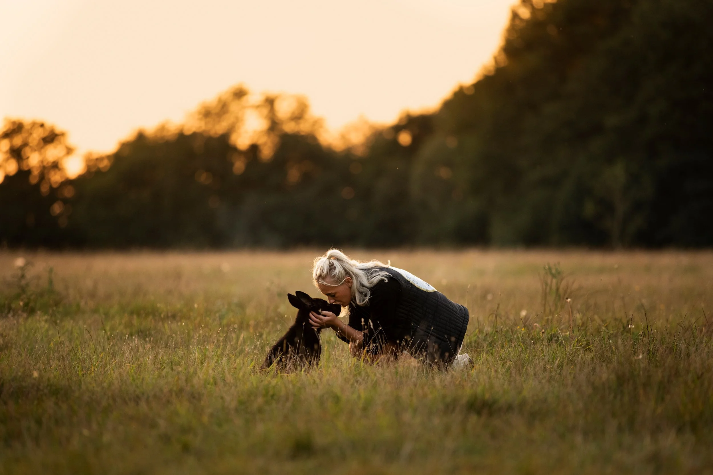 A woman kneeling in a grassy field at sunset, gently touching noses with a black dog.