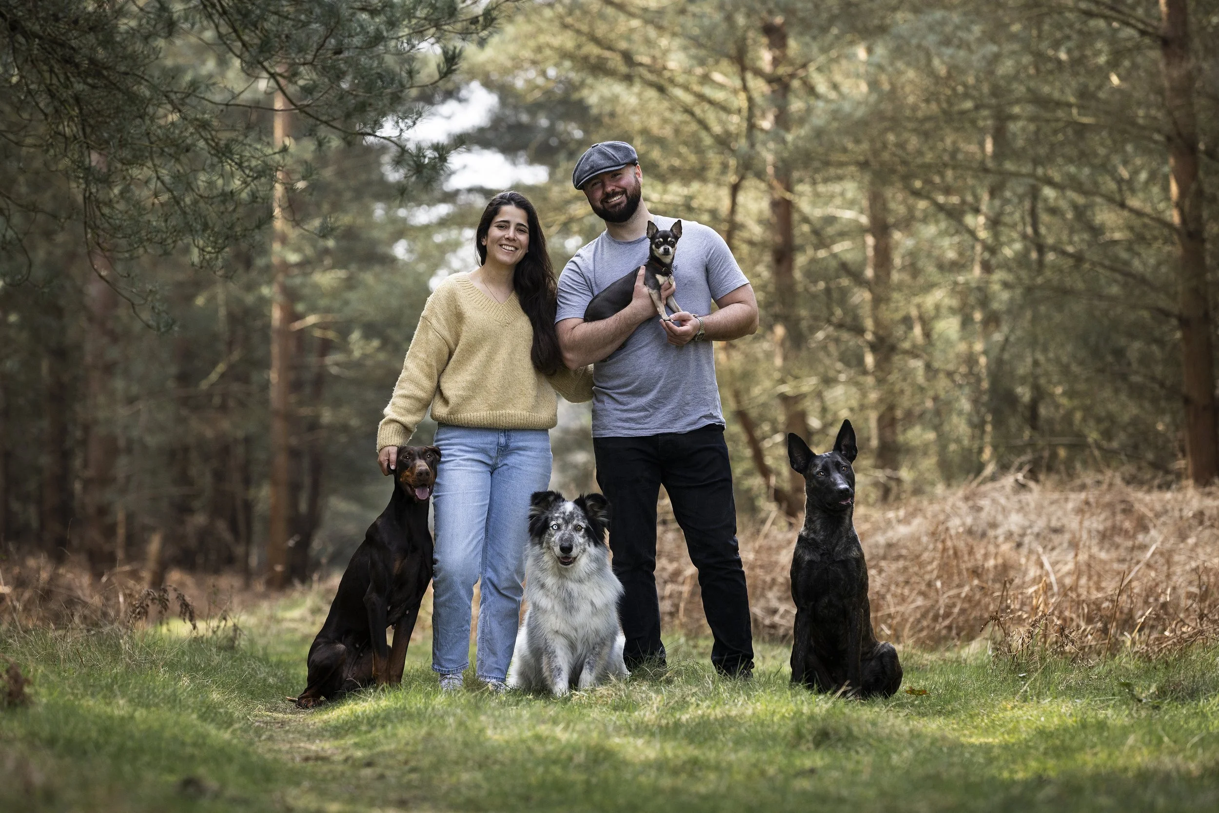 A smiling couple and their four dogs walk through a wooded area with tall trees and dry grass.