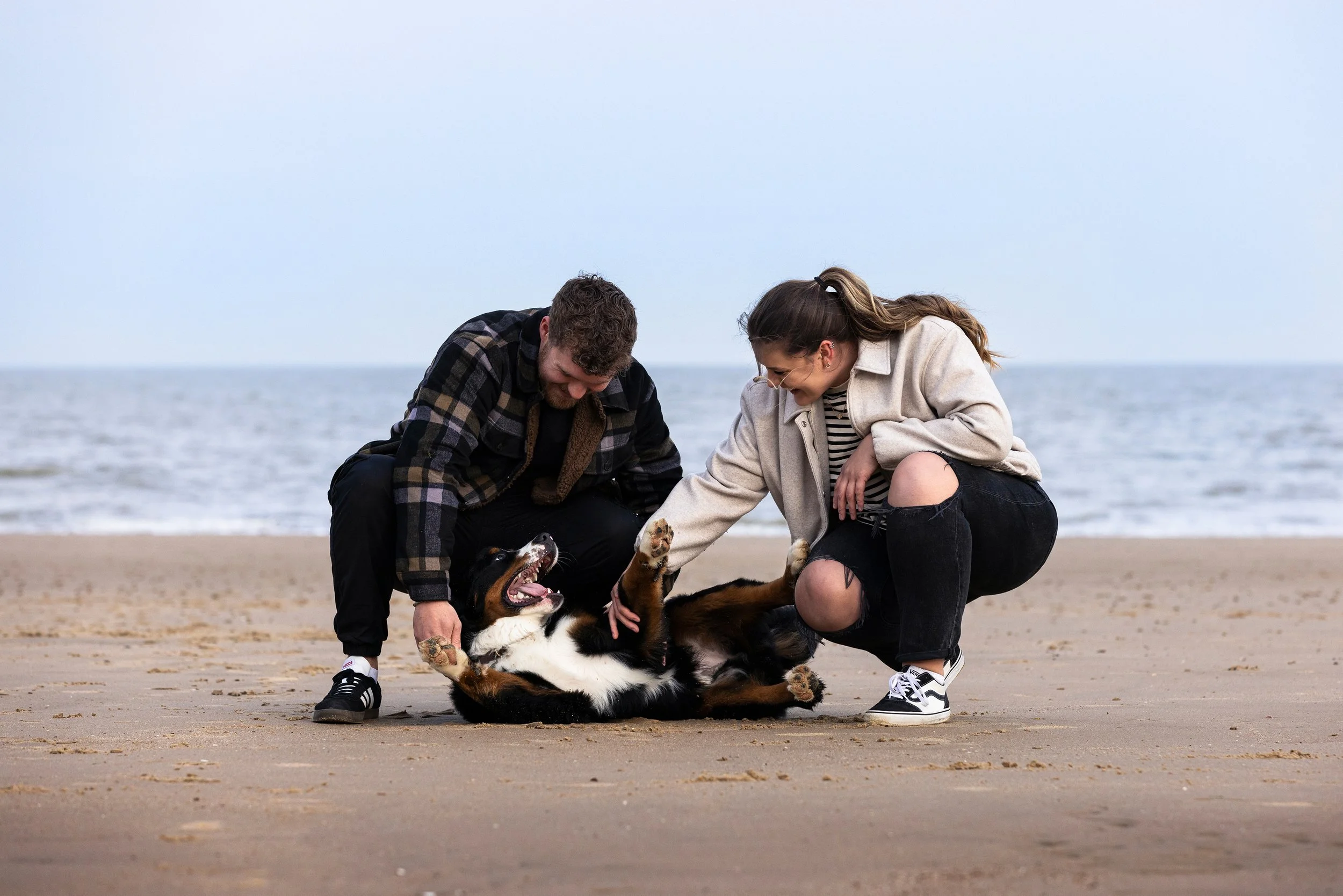 Two people playing with a happy dog on the beach