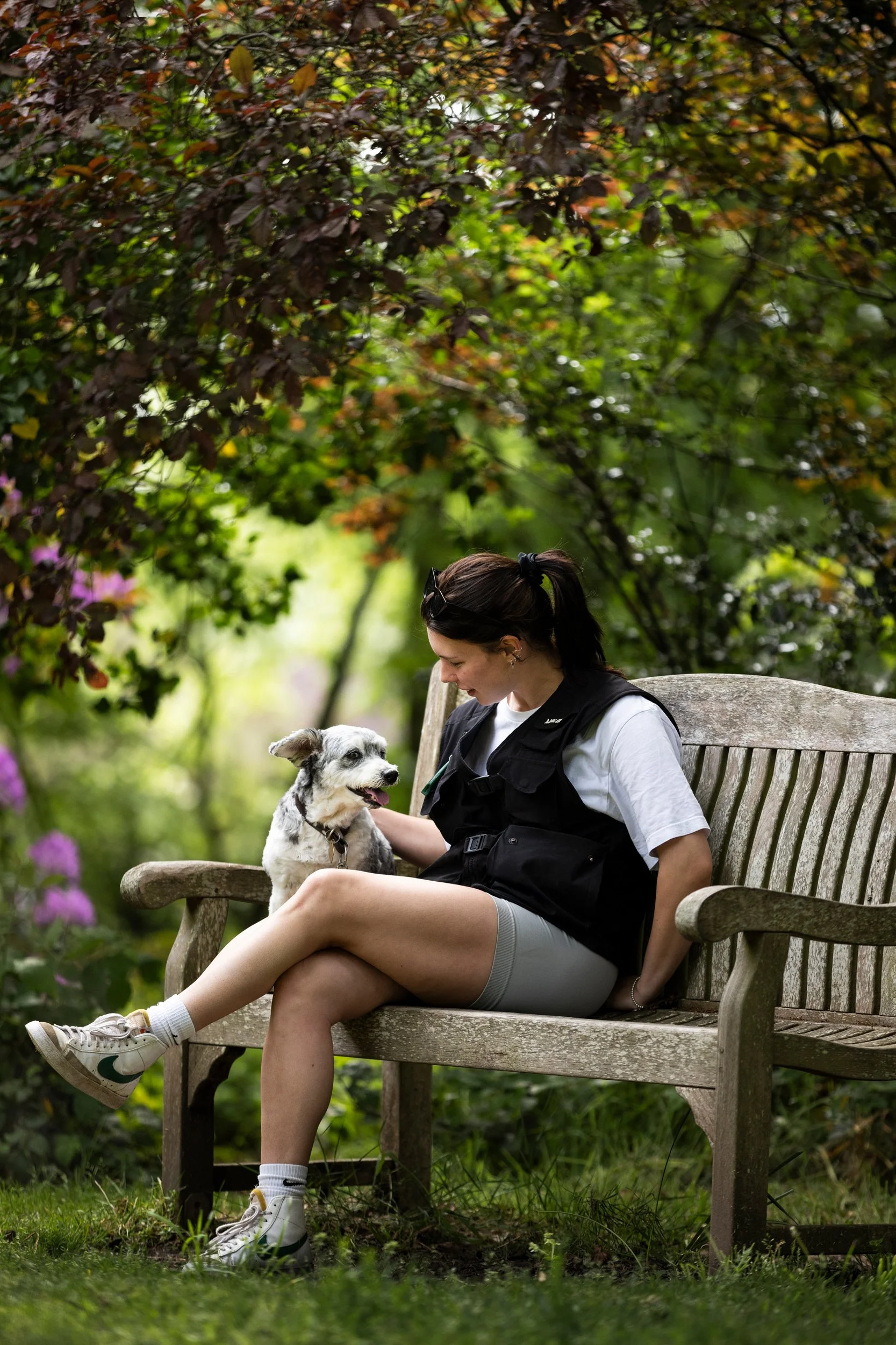 A young woman sitting on a wooden bench in a garden, interacting with a small gray and white dog.
