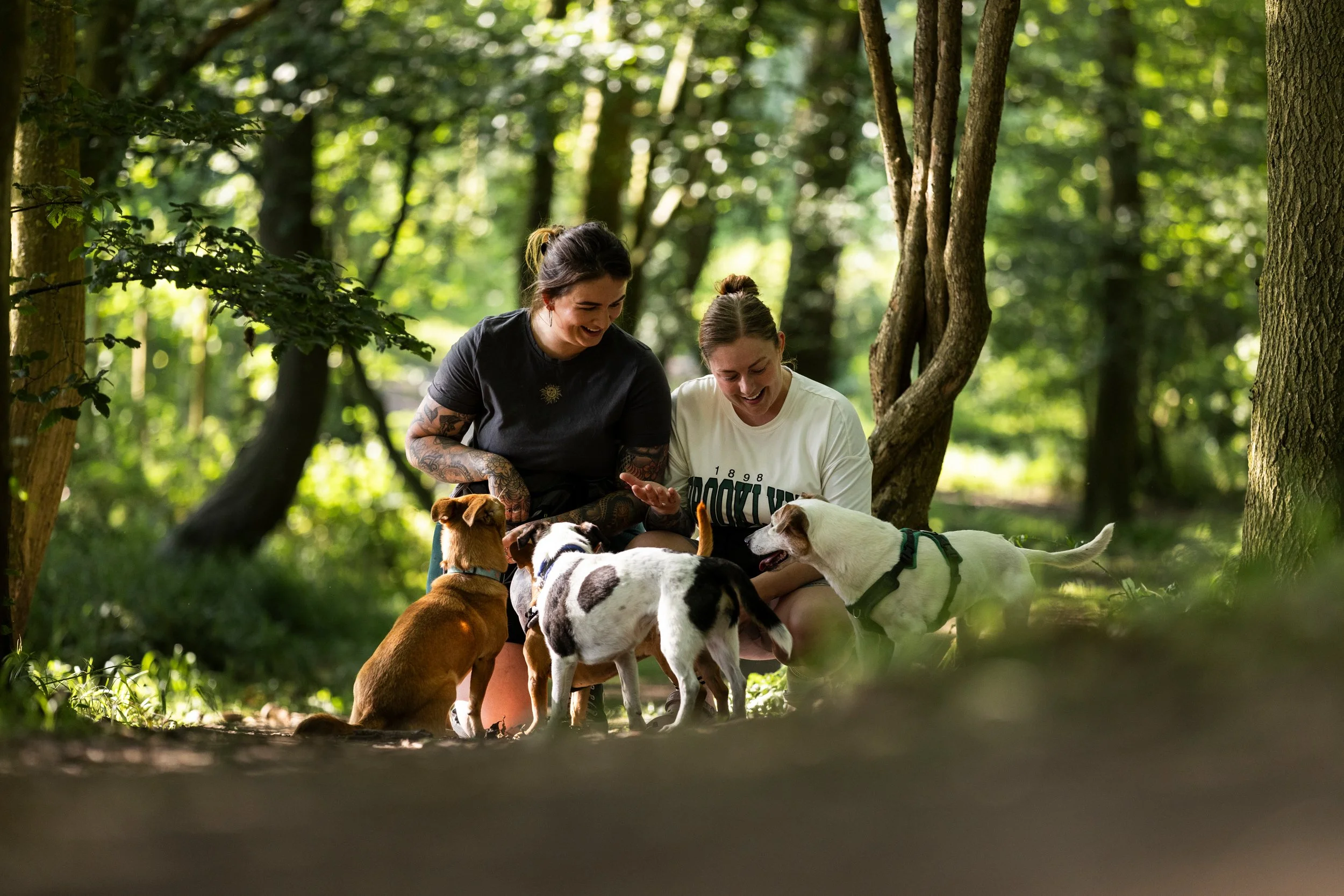 Two women playing with several dogs in a wooded park area.