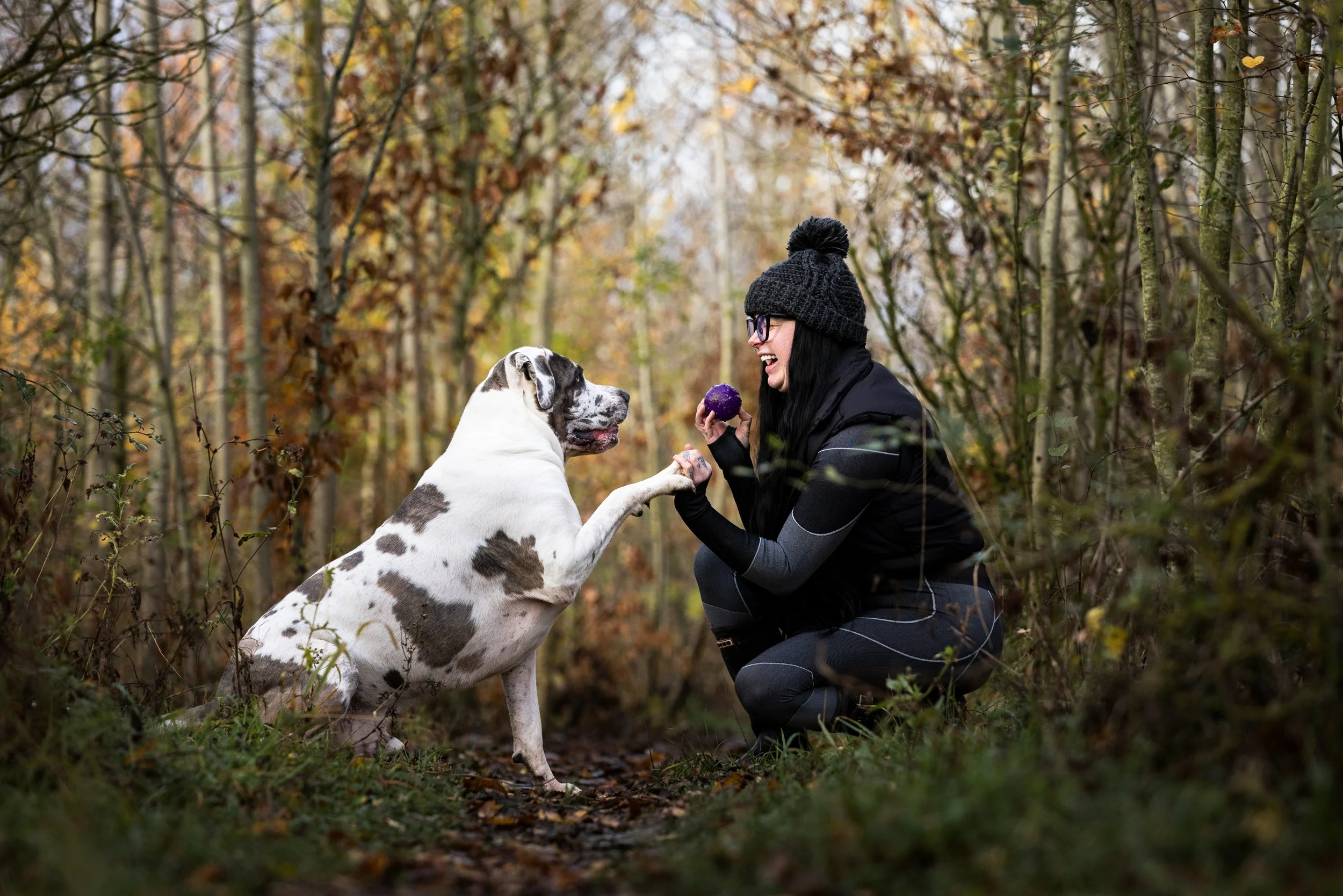 A woman with glasses, black beanie, and dark athletic clothing smiling and playing with a large, white and brown spotted dog in a wooded area during fall.