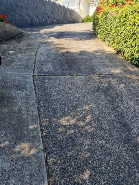 Before driveway transformation