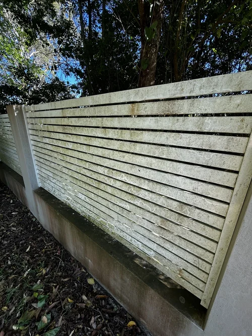 Before driveway transformation