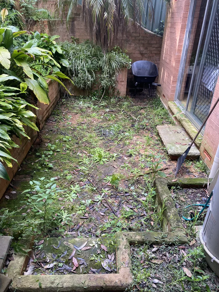 Before garden transformation