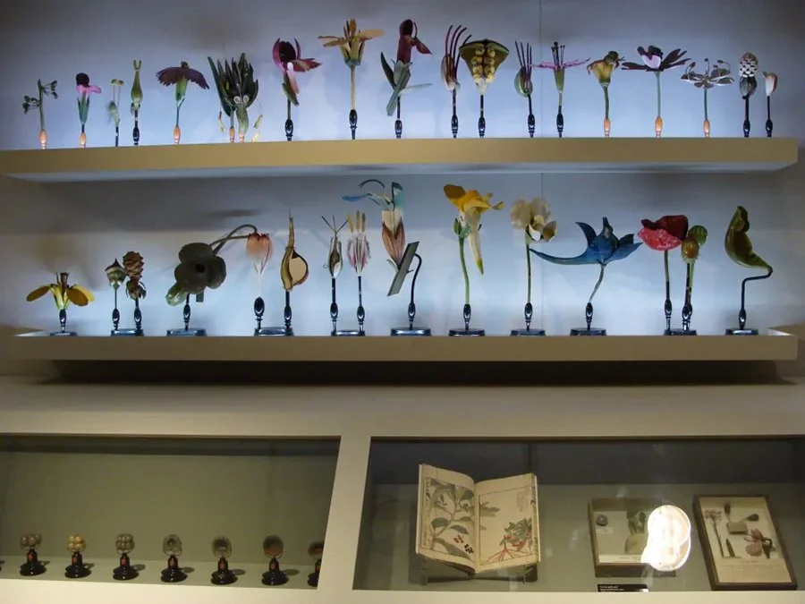 Object Lessons 3.jpg