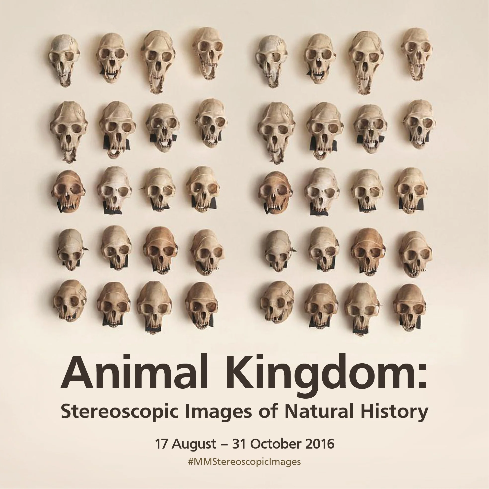 Animal Kingdom Exhibition Poster.jpg