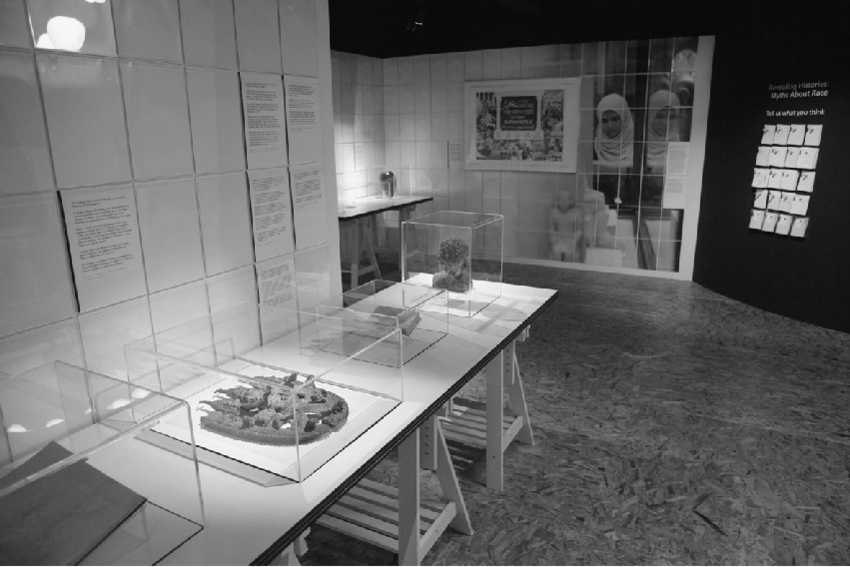 Myths-about-Race-Manchester-Museum-August-2007-Courtesy-of-the-Manchester-Museum.png