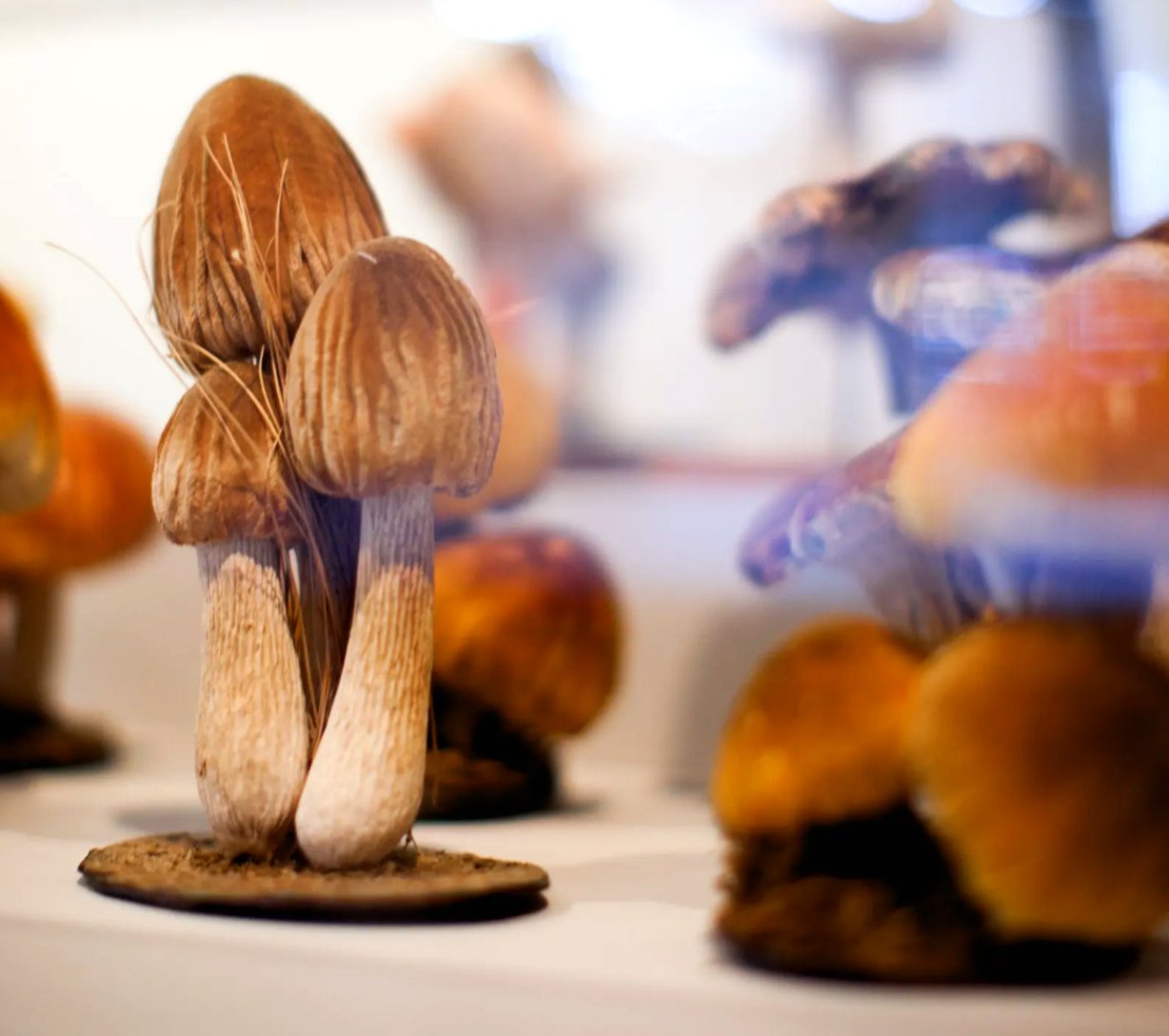 Object Lessons 6.jpg