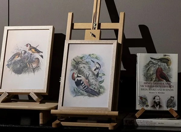 Wellbeing Wednesday: Scientific Illustration