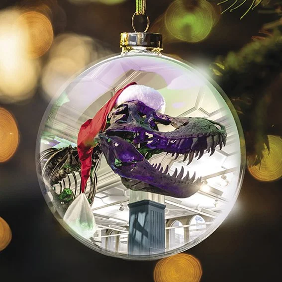 Stan’s Secret Santa