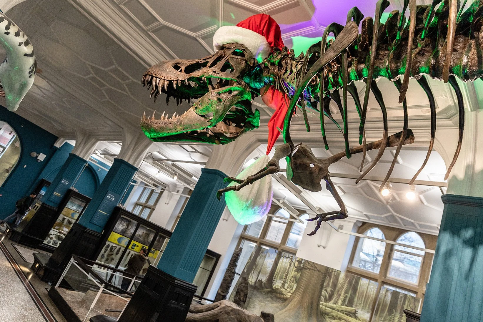 Stan Santa Hat-7.jpg