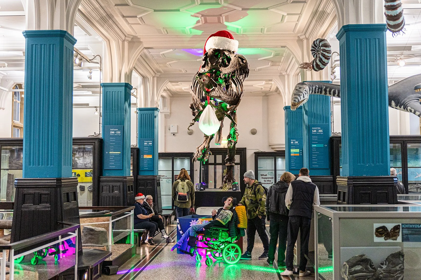 Stan Santa Hat-3 (1).jpg