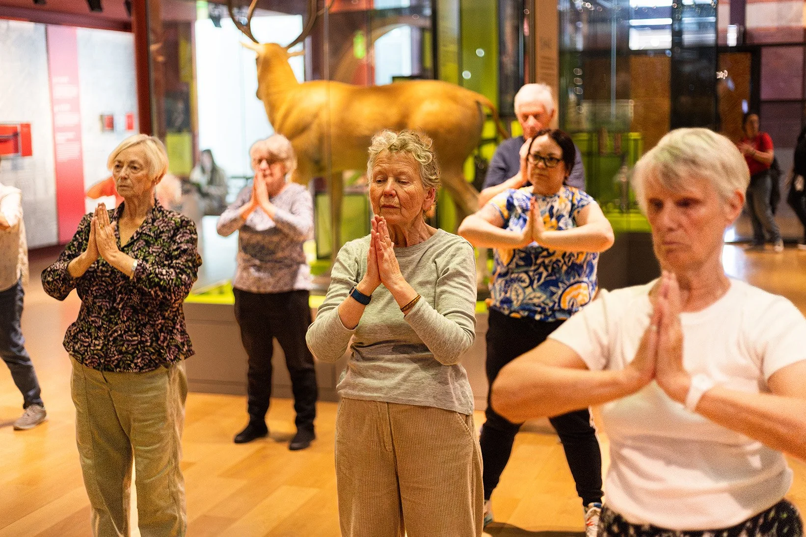 Introductory tai chi qigong sessions
