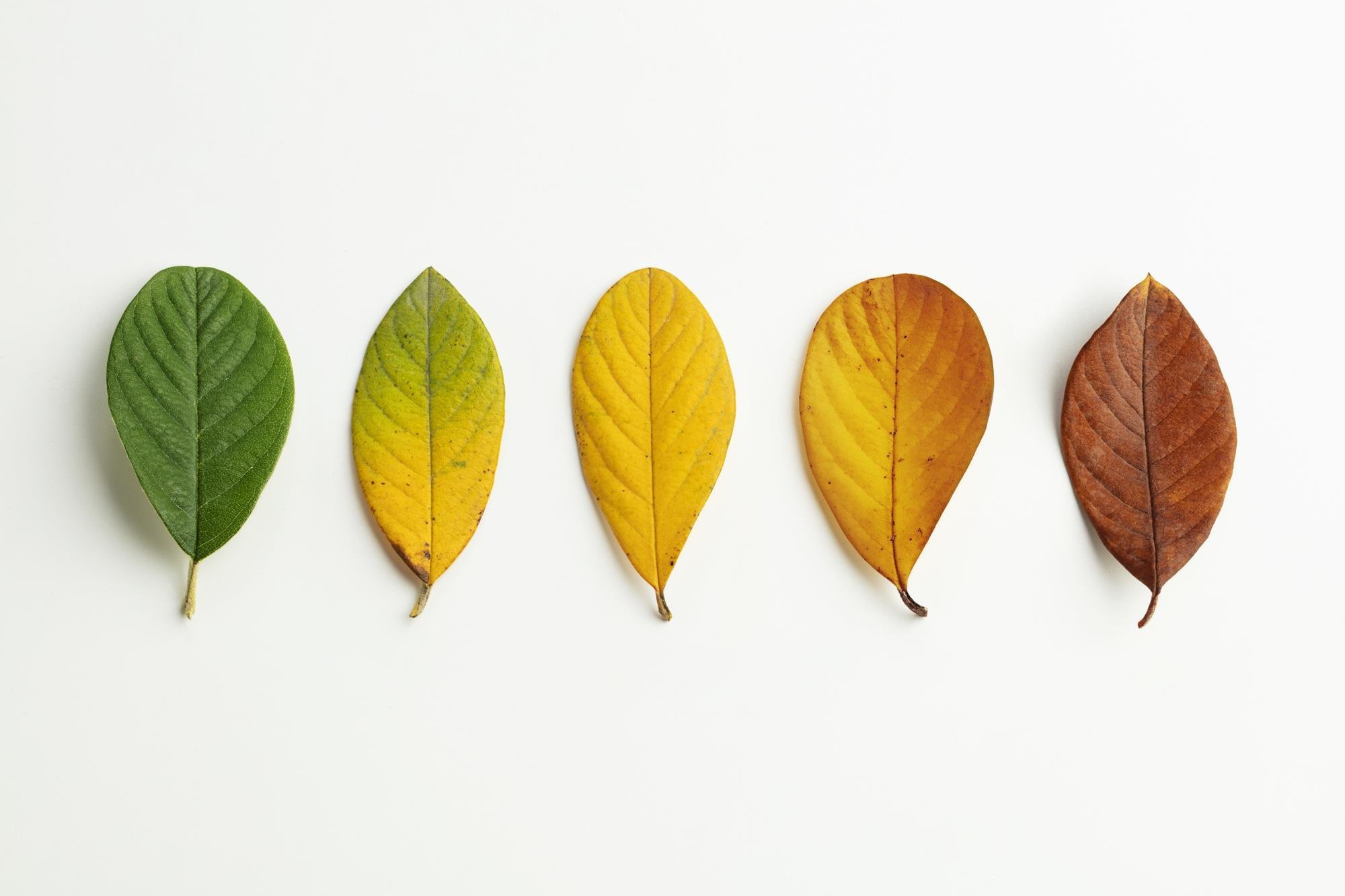 Wellbeing Wednesday: It's a long time from May to December!