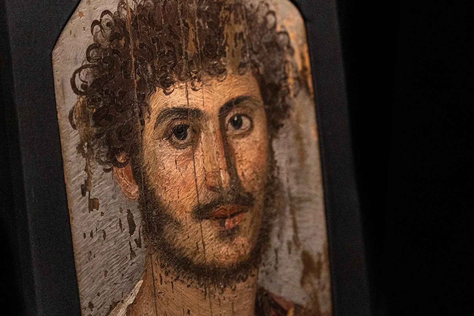 Multifaceted: Research on the Human Face