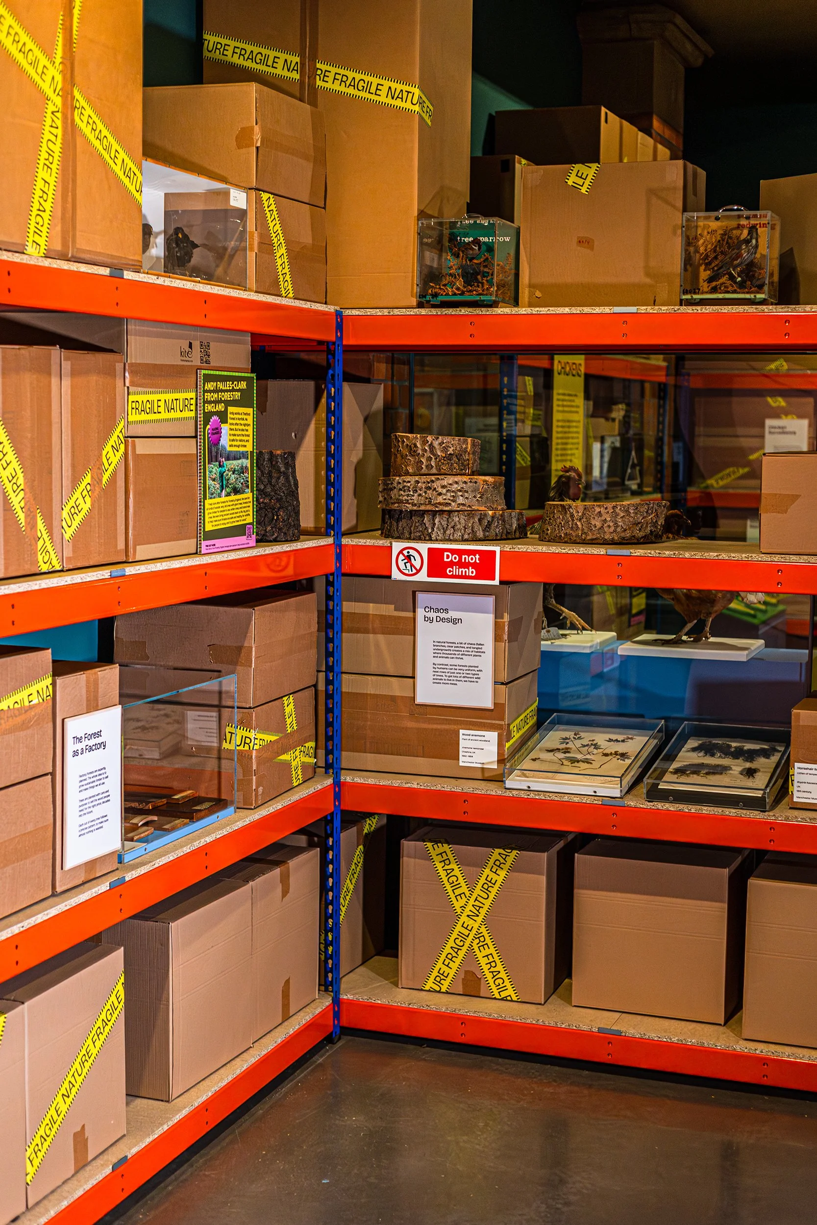 The warehouse in Human Natures, Tobias Longmate Manchester Museum.jpg