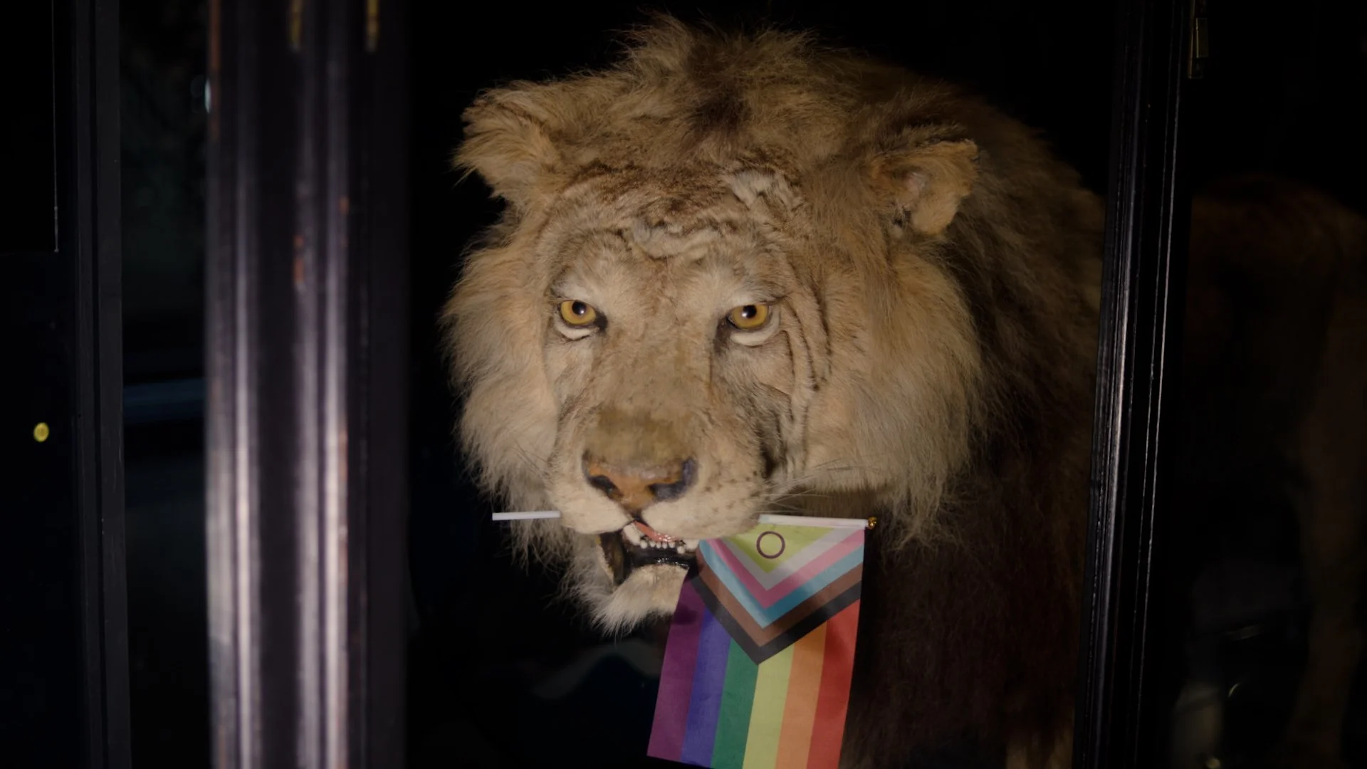 Pride tours