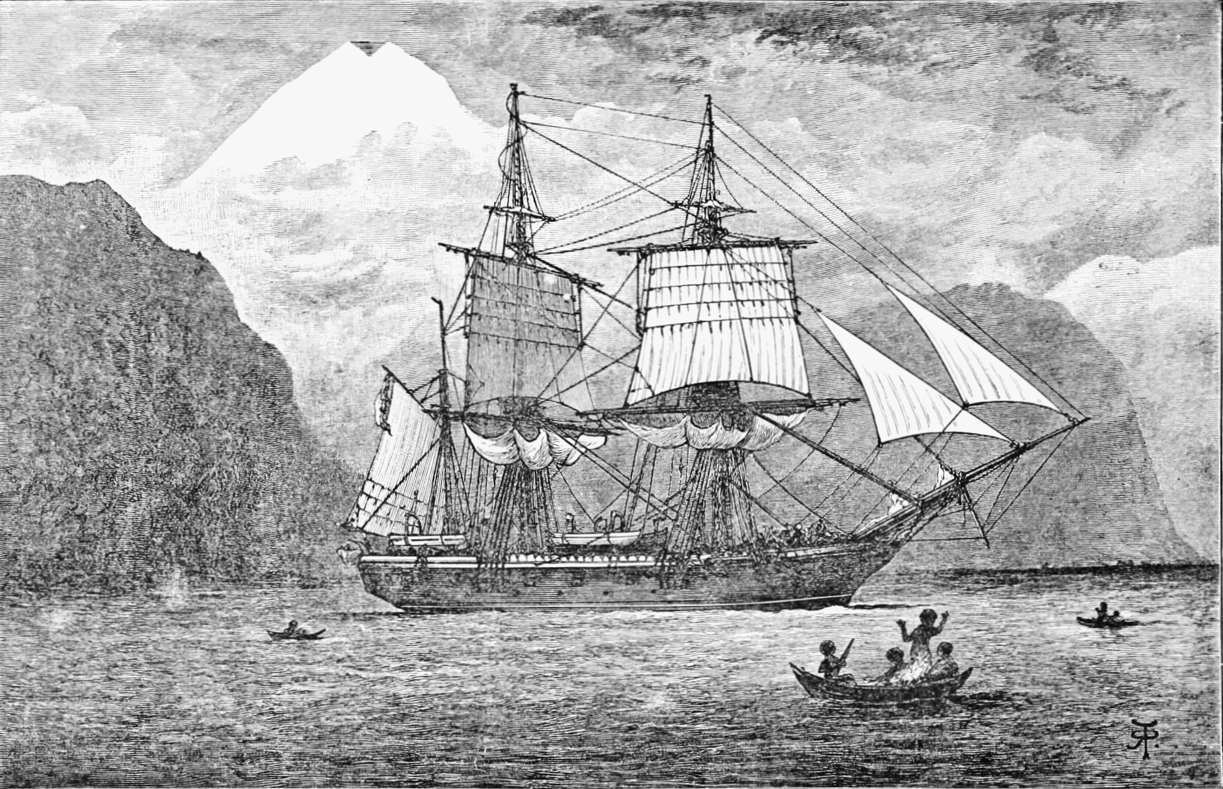 Collection Bites: Charles Darwin's Theory of Evolution Contextualised